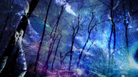 Enchanted Forest Under a Celestial Sky wallpaper