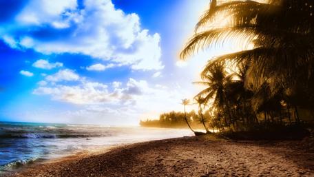 Tropical Bliss on a Sunlit Beach wallpaper
