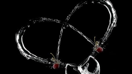 Love and Water Dance in Harmony wallpaper