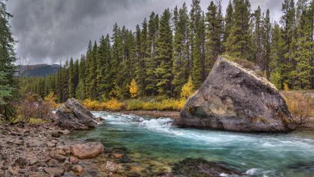 Tranquil River Amidst Lush Forests wallpaper