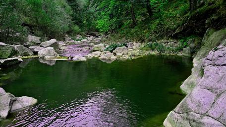 Nature's Tranquil Escape in Romania's Wilderness wallpaper