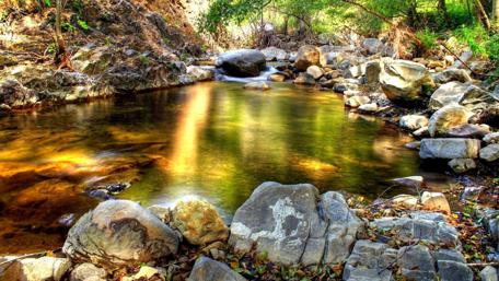 Sunlit Forest Stream Serenity wallpaper