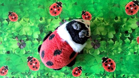Whimsical Ladybird Fantasy Realm wallpaper