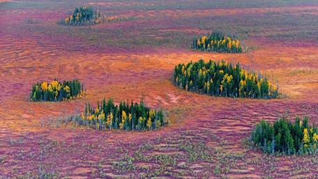 Vibrant Aerial View of Nature's Palette wallpaper
