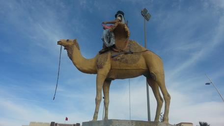 Majestic Camel Statue in Boujdour City View wallpaper