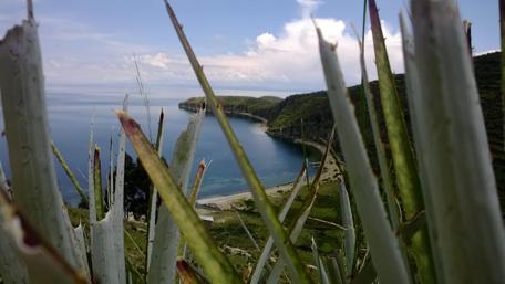 Serene Coastal View Surrounded by Nature's Beauty wallpaper