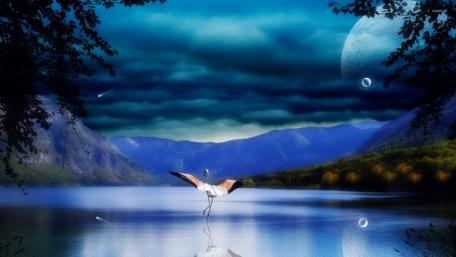 Flamingo fantasy art wallpaper