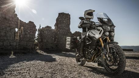 Adventure Awaits in the Sunlit Ruins wallpaper