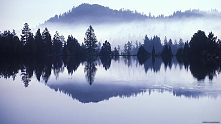 Serenity of Misty Reflections in Nature wallpaper