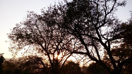 Majestic Silhouettes at Sunset Over Mazandaran wallpaper