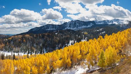 Autumn Majesty in Mountain Landscapes wallpaper