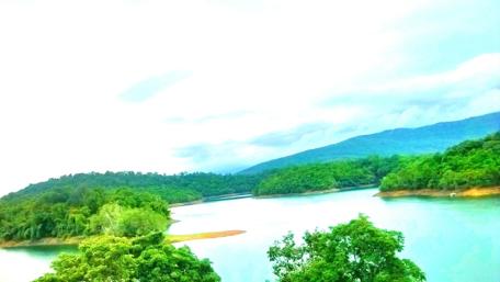 Tranquil Waters and Lush Greenery for Serenity wallpaper