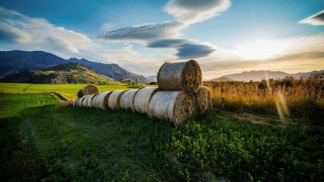 Golden Horizon and Rolling Meadows wallpaper