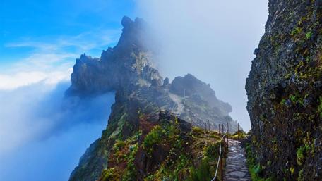 Misty Mountain Trail Shrouded in Mystery wallpaper