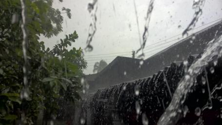 Serene Rainfall Amidst Greenery wallpaper
