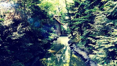 Serene Cabin by the River in Nature wallpaper