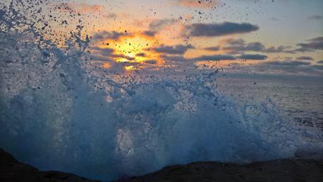 Dawn Waves Embracing the Ocean's Beauty wallpaper