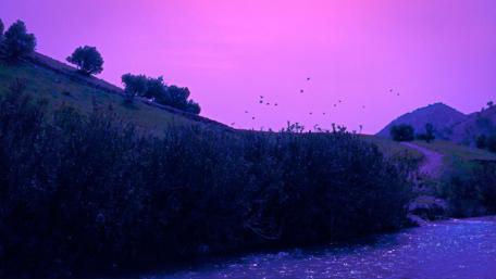 Purple Hues of Tranquil Nature Scene wallpaper