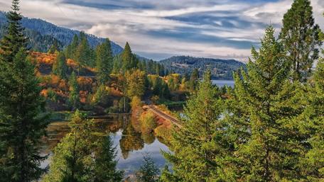 Tranquil Forest Lake Dreamscape wallpaper