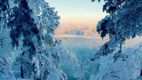 Winter Wonderland by the Frozen Lake wallpaper