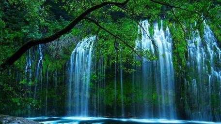 Enchanting Forest Waterfall Scene wallpaper