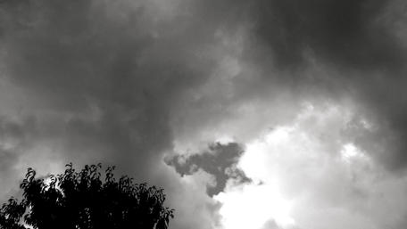 Dramatic Cloudy Sky Over Silhouetted Tree wallpaper