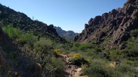 Desert Trail Adventure in Arizona wallpaper