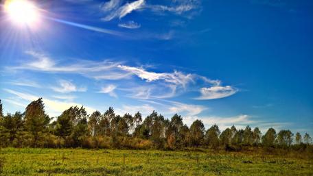 Radiant Nature Under a Blue Sky wallpaper
