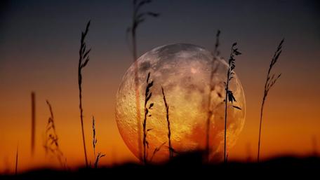 Serenade of the Moonlit Horizon wallpaper