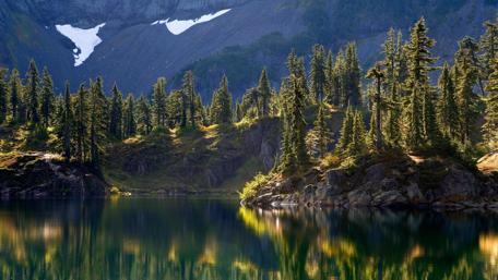 Serene Forest Reflection in Crystal Clear Lake wallpaper