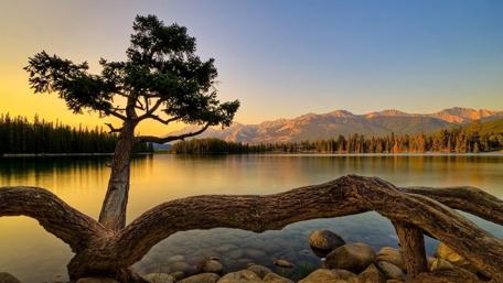 Serene Lakeside Sunset wallpaper