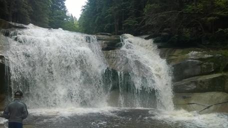 Majestic Waterfall in a Serene Forest Scene wallpaper