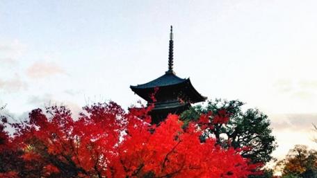 Autumn Serenity in Kyoto wallpaper