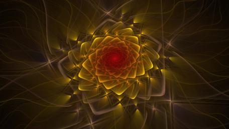 Radiant Abstract Flower Design wallpaper