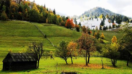 Rustic Autumn Retreat in Nature wallpaper