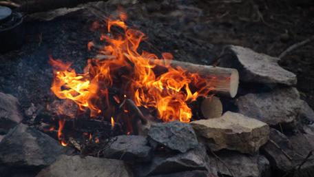 Fireside Serenity in Nature wallpaper