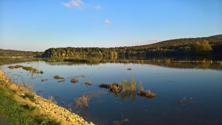 Serene Lake Reflections in Nature's Embrace wallpaper