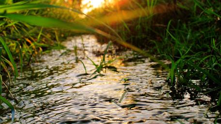 Tranquil Sunset Over a Gentle Creek wallpaper