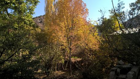 Autumn Serenity in Nature's Embrace wallpaper