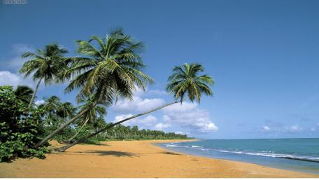 Serene Beach Escape under Clear Blue Skies wallpaper