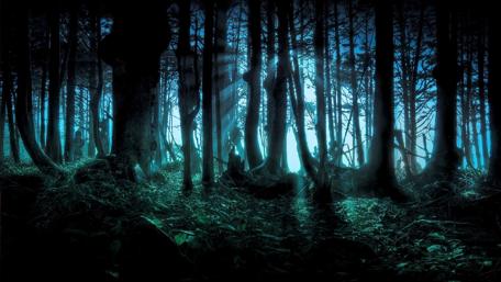 Twilight Whispers in the Misty Forest wallpaper