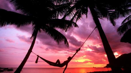 Serenity at Sunset Elegance in Nature's Colors wallpaper