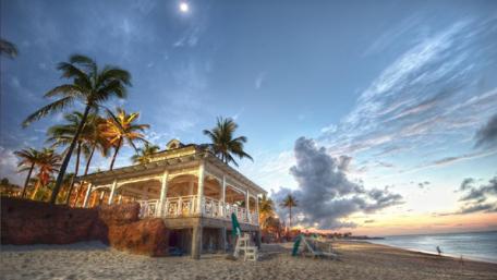 Serene Beachside Retreat with Palm Trees wallpaper
