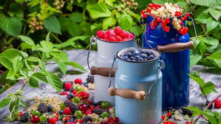 Berry Bounty in Cans and Leaves wallpaper