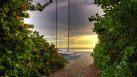 Serene Beach Pathway to Tranquility wallpaper