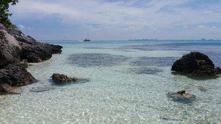 Tranquil Beauty of Isla Mujeres Reef wallpaper