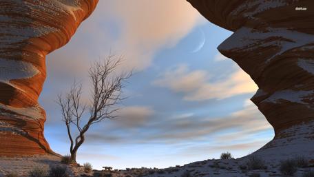 Mystical Canyon Under a Lunar Sky wallpaper