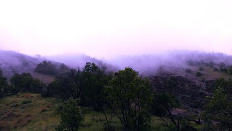 Misty Mountain Serenity wallpaper