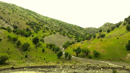 Lush Green Valleys Embraced by Mountains wallpaper