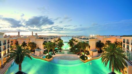 Tropical Serenity in City Landscape wallpaper